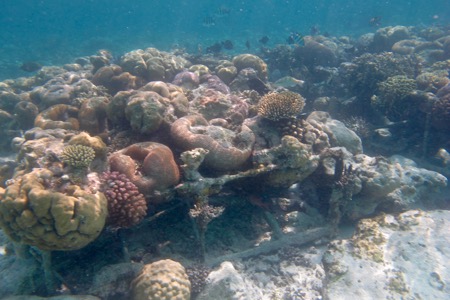 e0338303_11522642.jpg