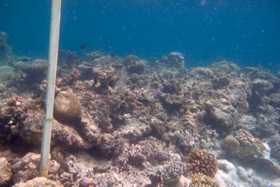 e0338303_11525123.jpg