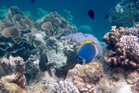 e0338303_1153077.jpg