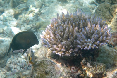 e0338303_11531769.jpg