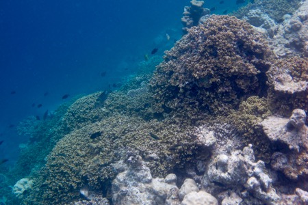 e0338303_1153681.jpg
