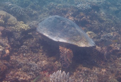 e0338303_13545392.jpg