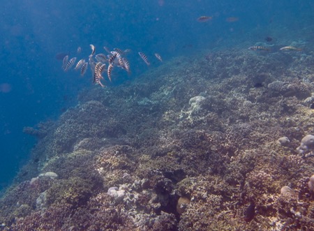 e0338303_13553274.jpg