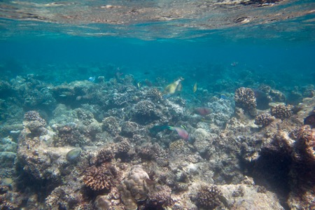 e0338303_13555091.jpg