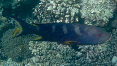 e0338303_1357188.jpg