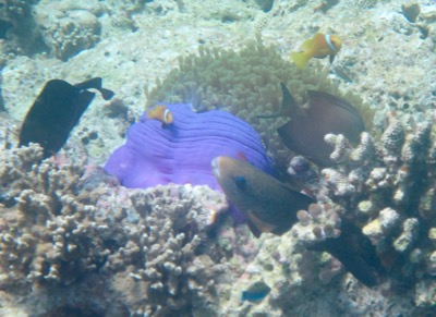 e0338303_13582524.jpg