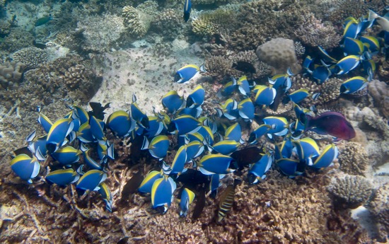 e0338303_14302559.jpg