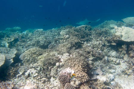 e0338303_14304163.jpg