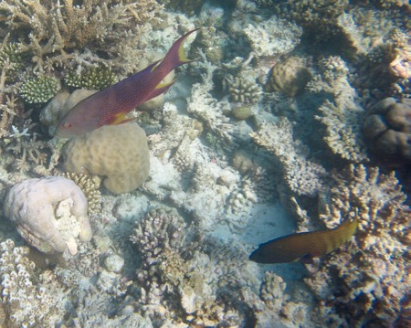 e0338303_1433850.jpg