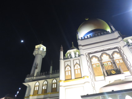  月とモスクに、お休みなさ～い！_c0212604_18451848.jpg