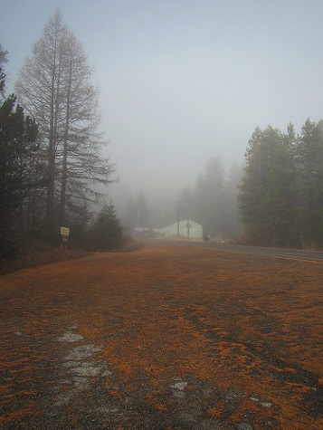 a0310405_11333000.jpg