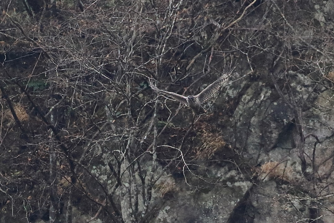 c0295707_1455249.jpg