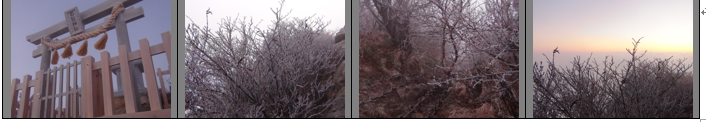 f0231709_23592484.png