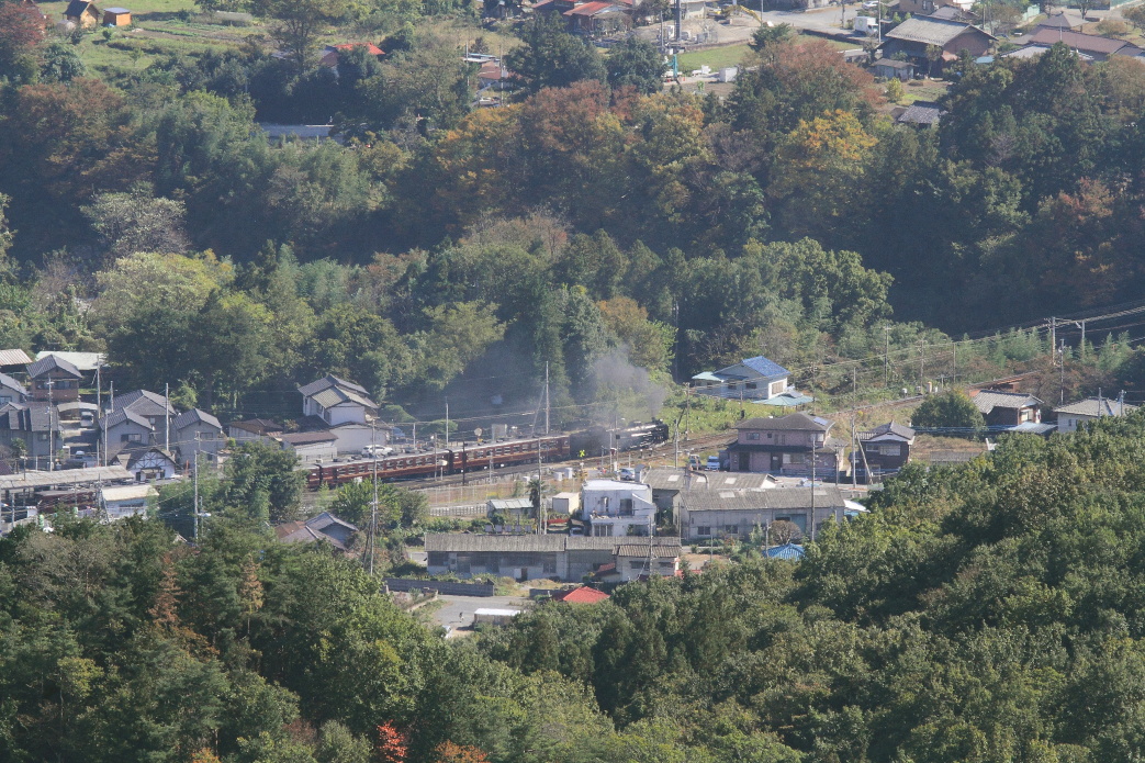 色付きはじめた荒川河岸 - 2016年秋・秩父 - _b0190710_23344673.jpg