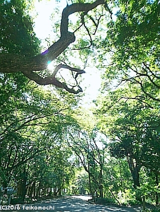 c0156212_09524446.jpg