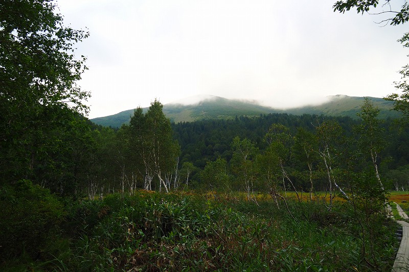 f0379312_844222.jpg