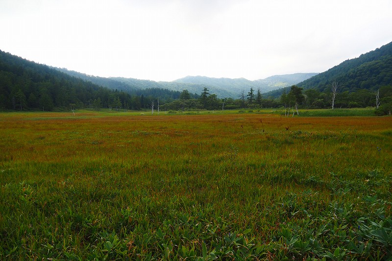 f0379312_854665.jpg