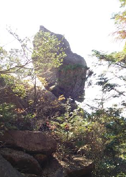 近江湖南アルプスをハイキング(中平)_f0354314_11330286.png