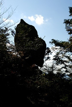 近江湖南アルプスをハイキング(中平)_f0354314_11331698.jpg