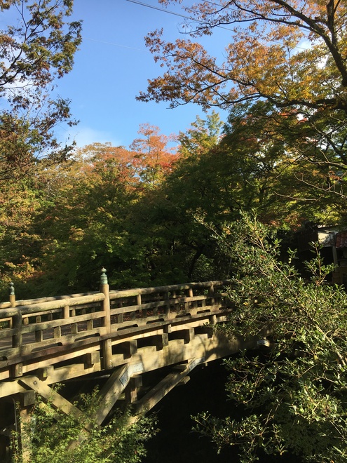 紅葉すこしずつ_c0210517_1524395.jpg