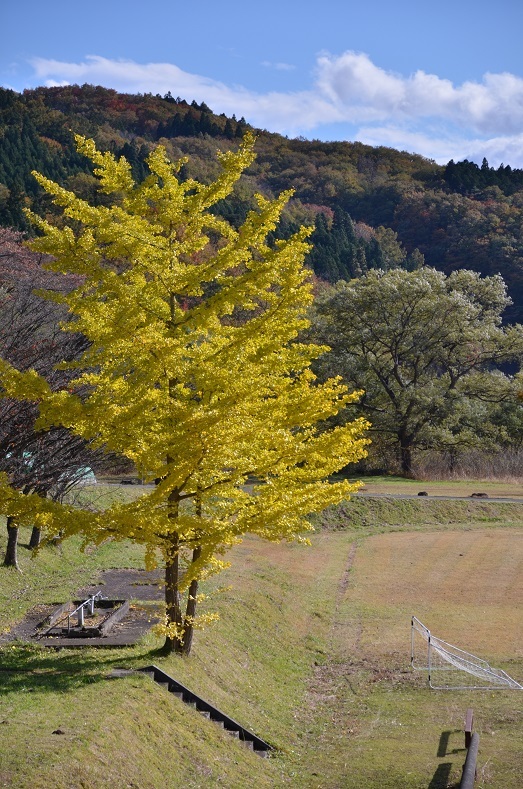 花山湖畔の秋_e0349817_22354329.jpg