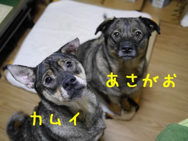 f0282319_7402231.jpg