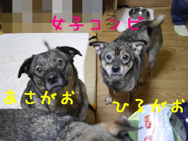 f0282319_7405632.jpg