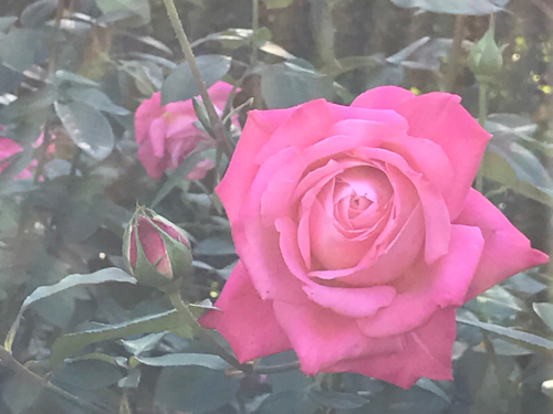 e0163721_09270246.jpg