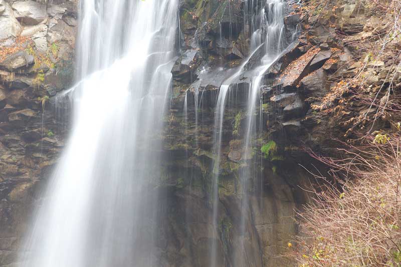 e0001123_22452084.jpg