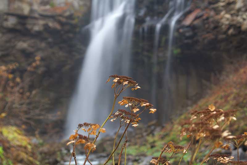 e0001123_2246573.jpg