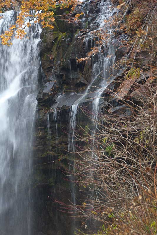 e0001123_22471680.jpg