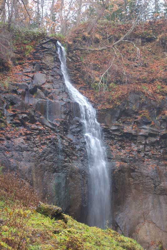 e0001123_2247382.jpg
