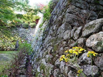 別格10番西山興隆寺から11番正善寺/生木地蔵_f0213825_10483212.jpg