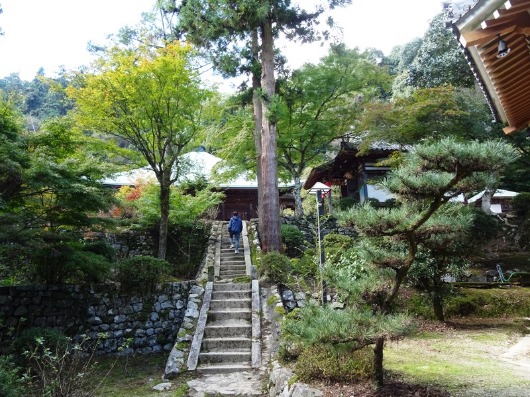 別格10番西山興隆寺から11番正善寺/生木地蔵_f0213825_12405760.jpg