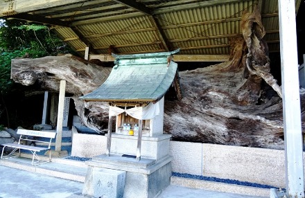 別格10番西山興隆寺から11番正善寺/生木地蔵_f0213825_1382262.jpg