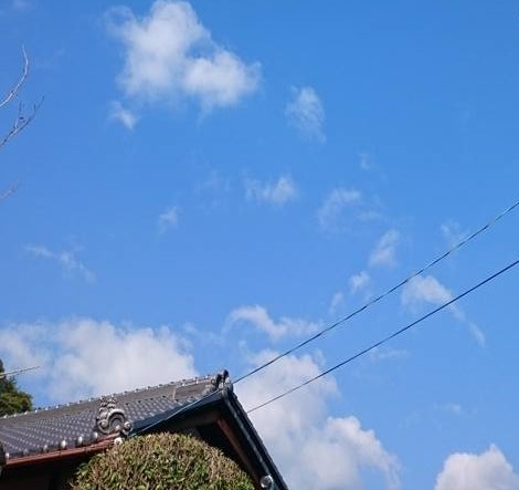 c0355331_13572630.jpg