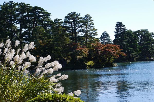 金沢旅行①唐崎松の雪吊り_a0354432_22542810.jpg