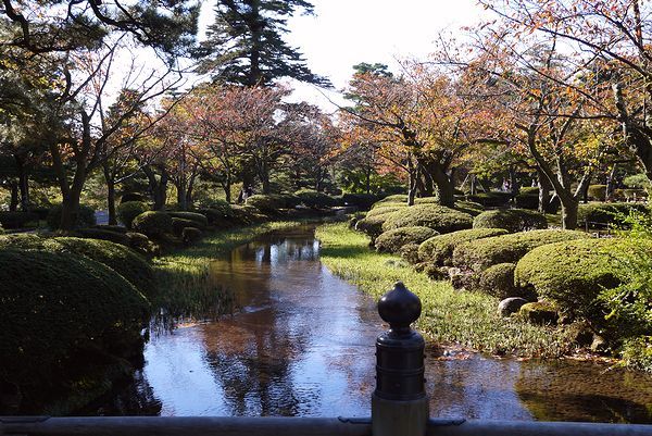 金沢旅行①唐崎松の雪吊り_a0354432_22543503.jpg