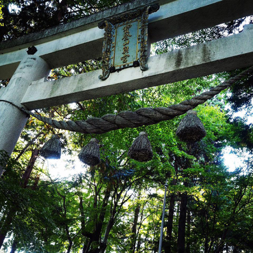 秩父三社巡りー寶登山神社_e0243332_15533207.jpg