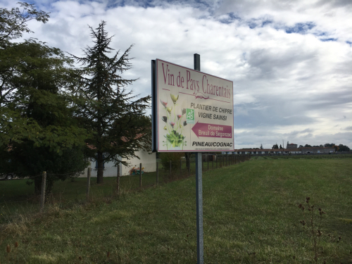 Breuil de Segonzac XO_d0011635_17590312.jpg