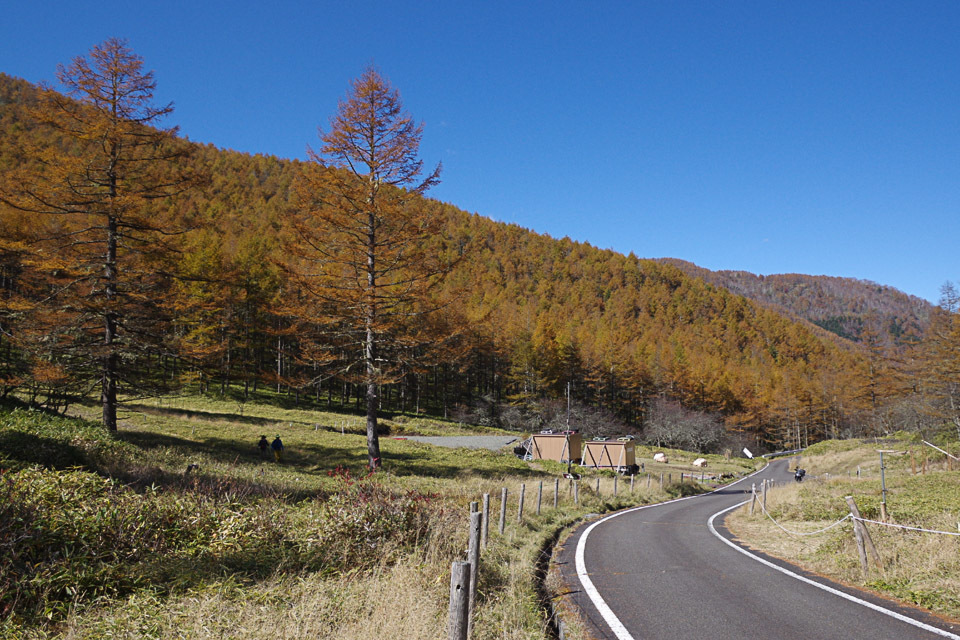 f0300637_17043364.jpg