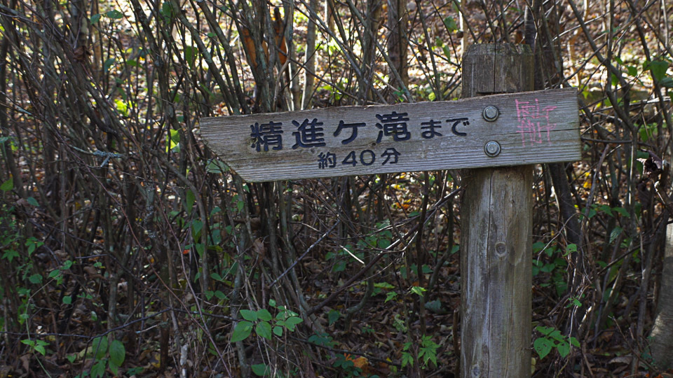 f0300637_17131469.jpg