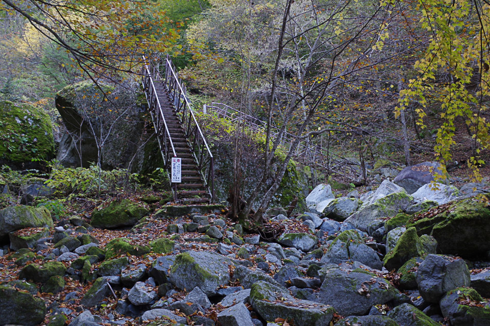 f0300637_17160212.jpg