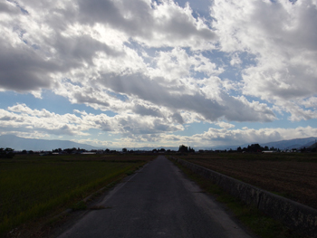 a0014840_2263254.jpg