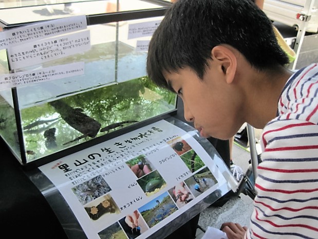 ちょうふしぜんフェスタ参加_b0257143_11251542.jpg