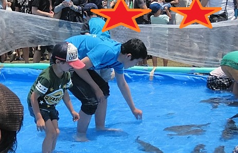 ちょうふしぜんフェスタ参加_b0257143_11292431.jpg