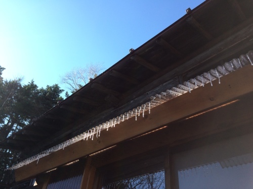 11月4日の日記_c0369344_12271354.jpg