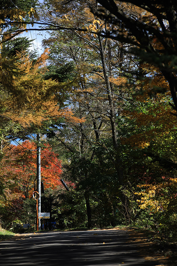 c0035245_22521269.jpg