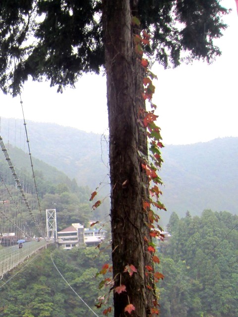 b0289649_20535858.jpg