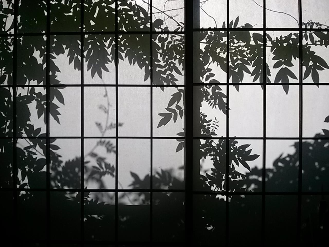 d0267149_13181191.jpg